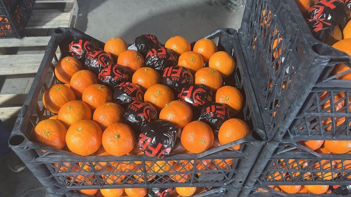 Forklift ile rampada palet sevkiyatı
