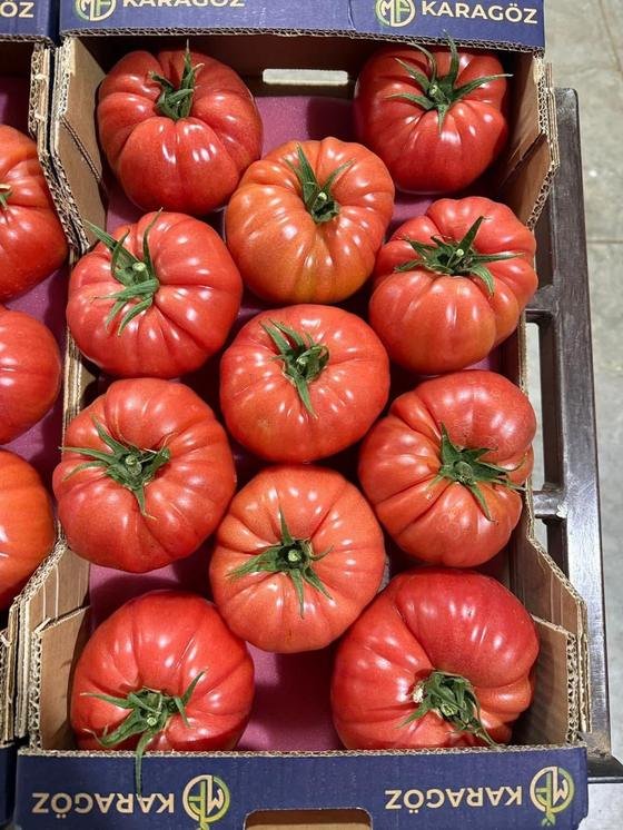 RAHA Freshline saha fotoğrafı — üretim, paketleme ve sevkiyat