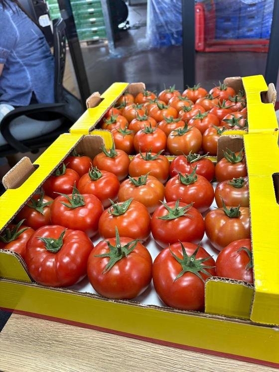 RAHA Freshline saha fotoğrafı — üretim, paketleme ve sevkiyat