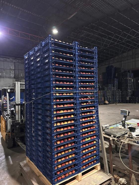 RAHA Freshline saha fotoğrafı — üretim, paketleme ve sevkiyat