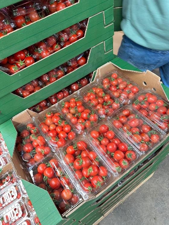 RAHA Freshline saha fotoğrafı — üretim, paketleme ve sevkiyat