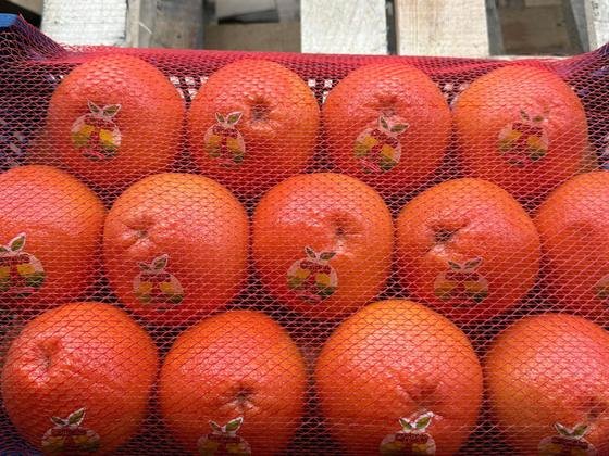 RAHA Freshline saha fotoğrafı — üretim, paketleme ve sevkiyat