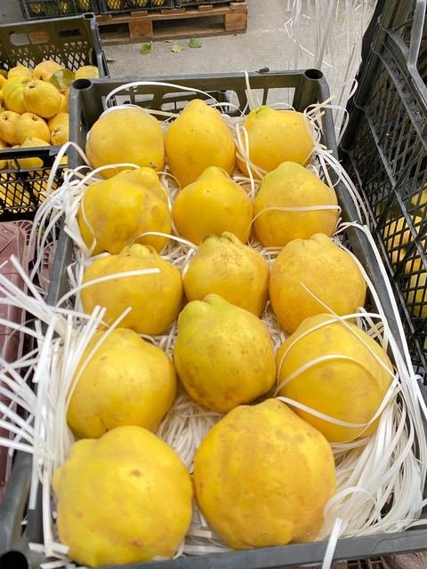 RAHA Freshline saha fotoğrafı — üretim, paketleme ve sevkiyat