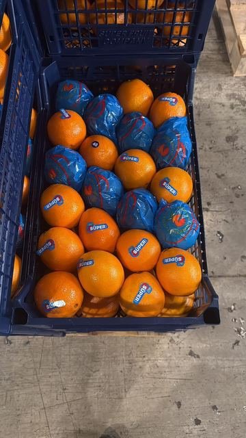 RAHA Freshline saha fotoğrafı — üretim, paketleme ve sevkiyat