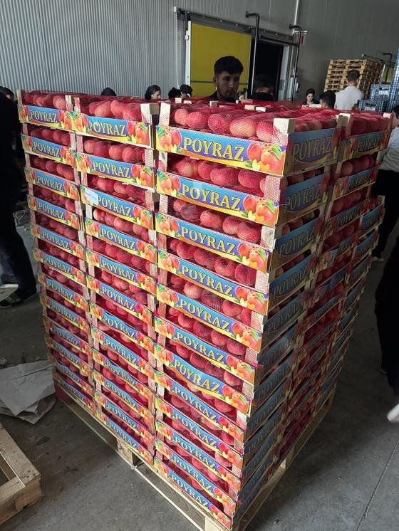 RAHA Freshline saha fotoğrafı — üretim, paketleme ve sevkiyat