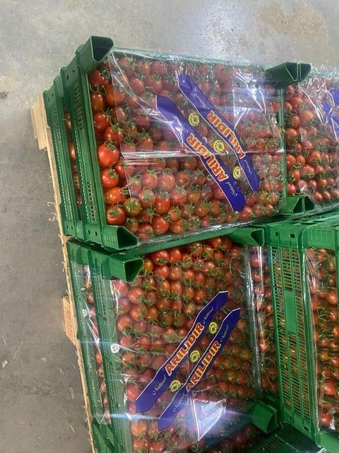 RAHA Freshline saha fotoğrafı — üretim, paketleme ve sevkiyat