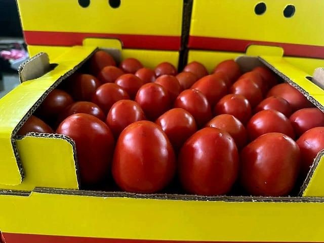 RAHA Freshline saha fotoğrafı — üretim, paketleme ve sevkiyat