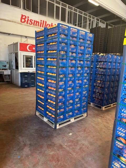 RAHA Freshline saha fotoğrafı — üretim, paketleme ve sevkiyat