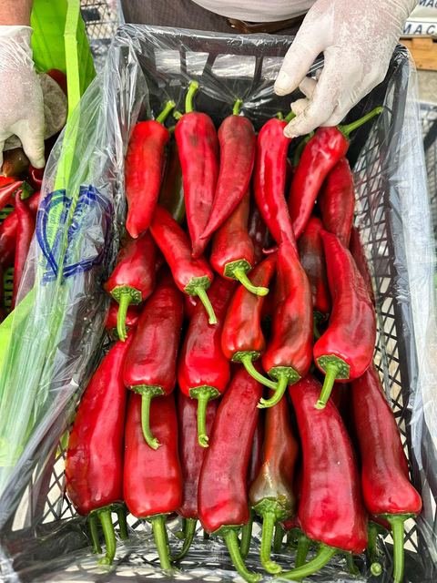 RAHA Freshline saha fotoğrafı — üretim, paketleme ve sevkiyat