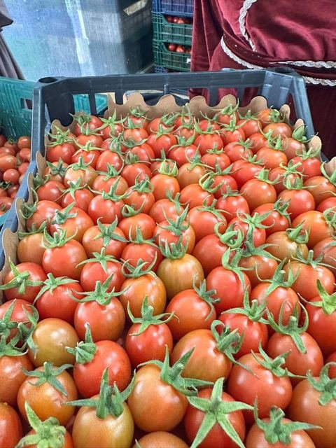 RAHA Freshline saha fotoğrafı — üretim, paketleme ve sevkiyat
