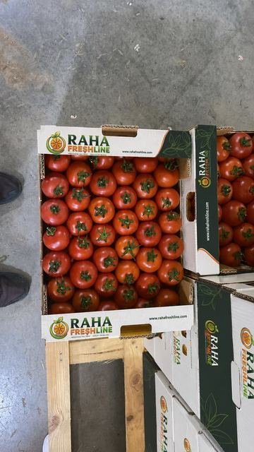 RAHA Freshline saha fotoğrafı — üretim, paketleme ve sevkiyat