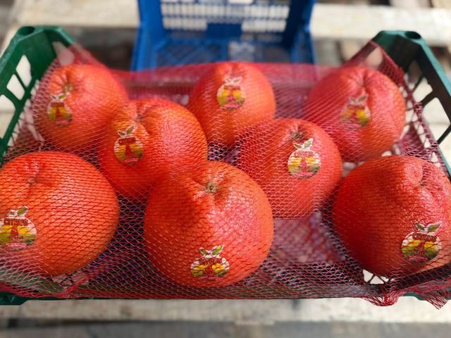 RAHA Freshline saha fotoğrafı — üretim, paketleme ve sevkiyat