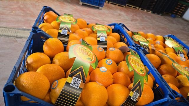RAHA Freshline saha fotoğrafı — üretim, paketleme ve sevkiyat
