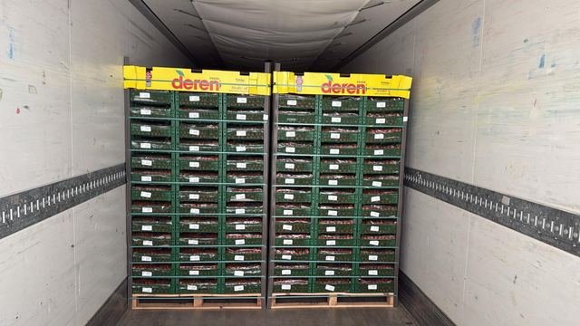 RAHA Freshline saha fotoğrafı — üretim, paketleme ve sevkiyat