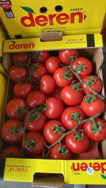RAHA Freshline saha fotoğrafı — üretim, paketleme ve sevkiyat