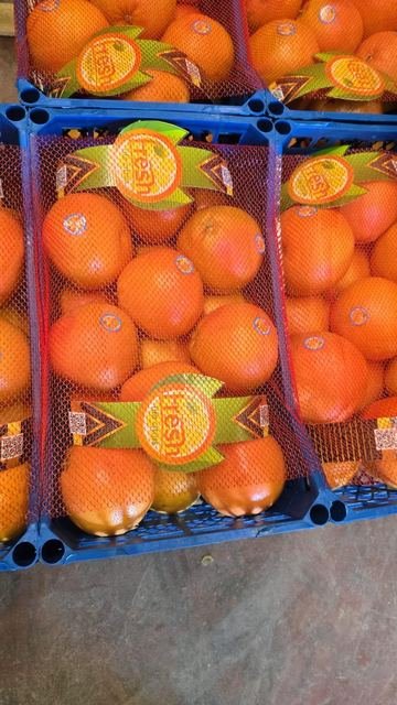 RAHA Freshline saha fotoğrafı — üretim, paketleme ve sevkiyat