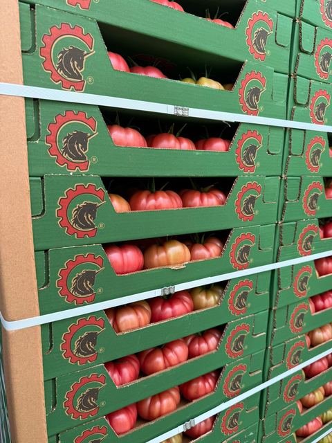 RAHA Freshline saha fotoğrafı — üretim, paketleme ve sevkiyat