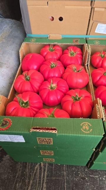 RAHA Freshline saha fotoğrafı — üretim, paketleme ve sevkiyat
