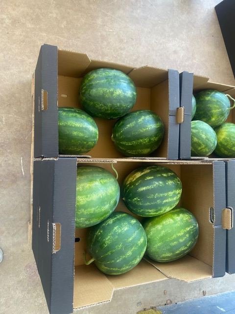 RAHA Freshline saha fotoğrafı — üretim, paketleme ve sevkiyat