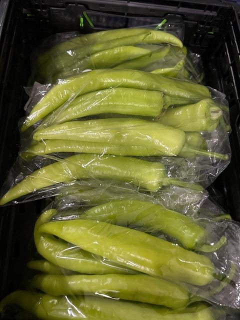 RAHA Freshline saha fotoğrafı — üretim, paketleme ve sevkiyat