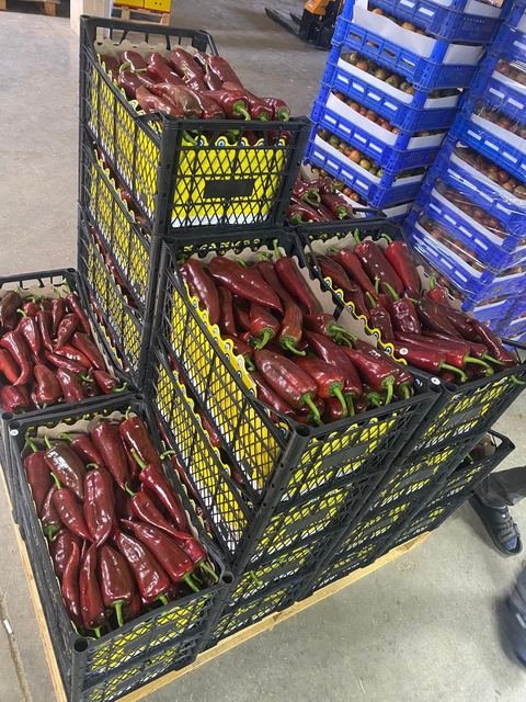 RAHA Freshline saha fotoğrafı — üretim, paketleme ve sevkiyat