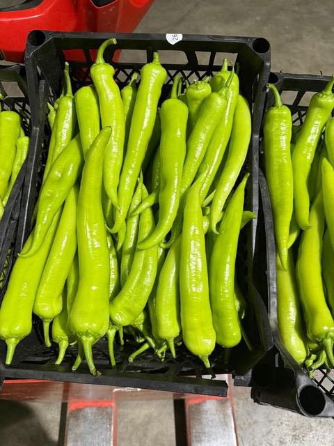 RAHA Freshline saha fotoğrafı — üretim, paketleme ve sevkiyat