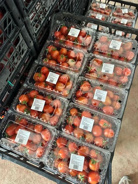 RAHA Freshline saha fotoğrafı — üretim, paketleme ve sevkiyat
