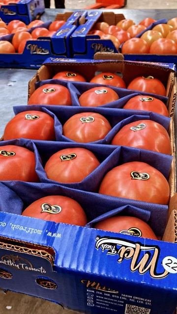 RAHA Freshline saha fotoğrafı — üretim, paketleme ve sevkiyat