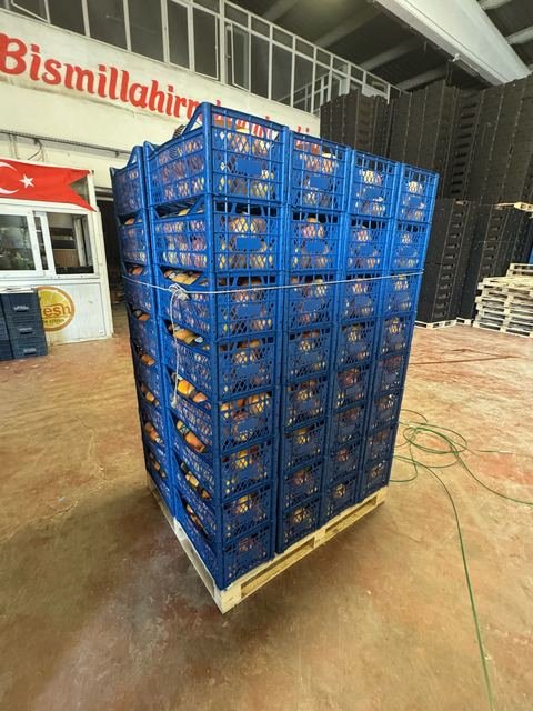 RAHA Freshline saha fotoğrafı — üretim, paketleme ve sevkiyat