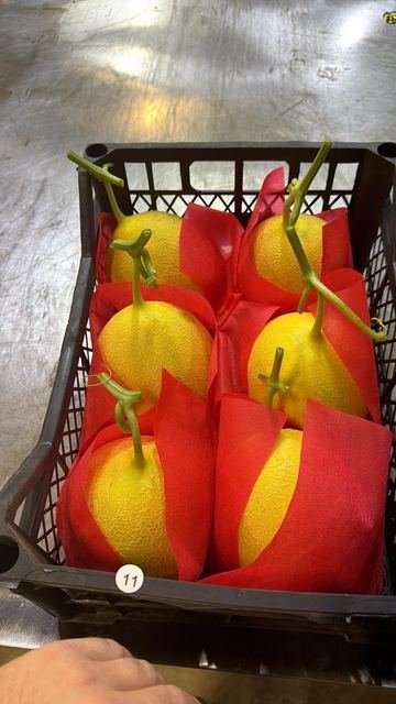 RAHA Freshline saha fotoğrafı — üretim, paketleme ve sevkiyat