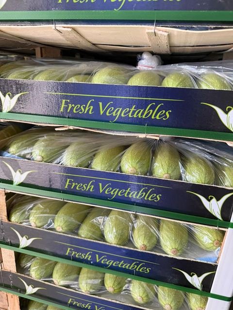 RAHA Freshline saha fotoğrafı — üretim, paketleme ve sevkiyat