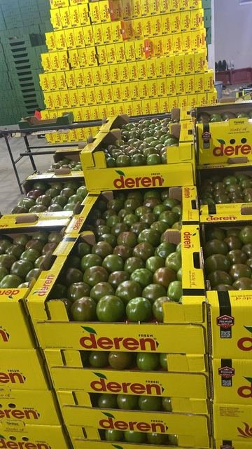 RAHA Freshline saha fotoğrafı — üretim, paketleme ve sevkiyat
