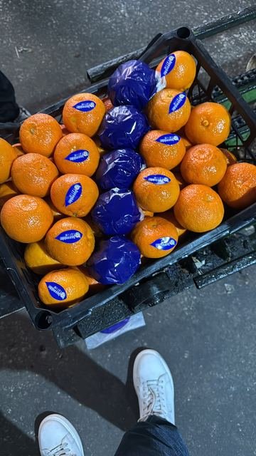 RAHA Freshline saha fotoğrafı — üretim, paketleme ve sevkiyat