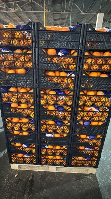 RAHA Freshline saha fotoğrafı — üretim, paketleme ve sevkiyat