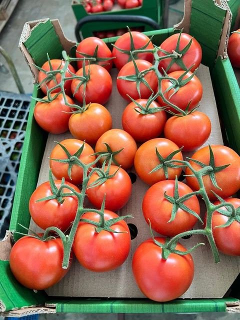 RAHA Freshline saha fotoğrafı — üretim, paketleme ve sevkiyat