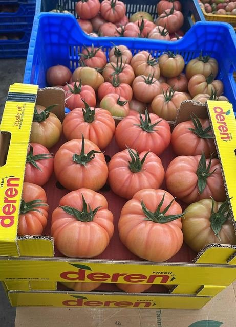 RAHA Freshline saha fotoğrafı — üretim, paketleme ve sevkiyat
