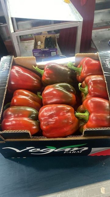 RAHA Freshline saha fotoğrafı — üretim, paketleme ve sevkiyat