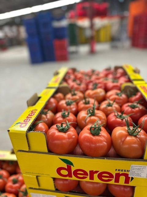 RAHA Freshline saha fotoğrafı — üretim, paketleme ve sevkiyat