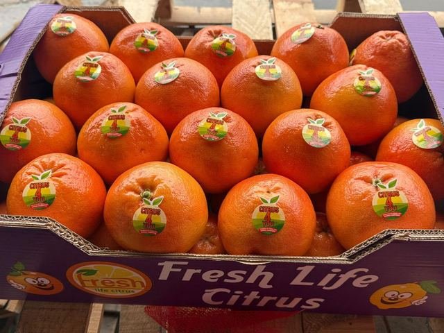 RAHA Freshline saha fotoğrafı — üretim, paketleme ve sevkiyat