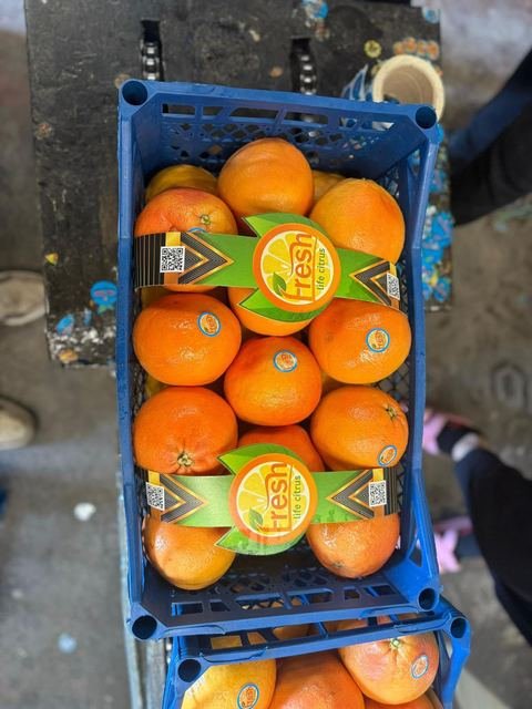 RAHA Freshline saha fotoğrafı — üretim, paketleme ve sevkiyat