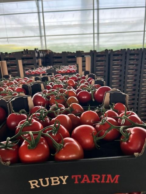 RAHA Freshline saha fotoğrafı — üretim, paketleme ve sevkiyat