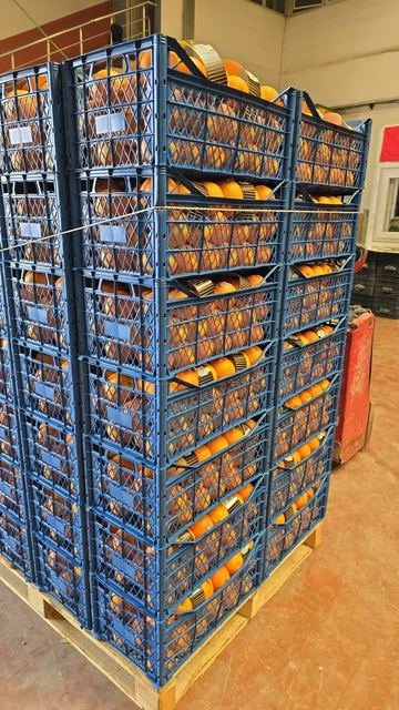 RAHA Freshline saha fotoğrafı — üretim, paketleme ve sevkiyat