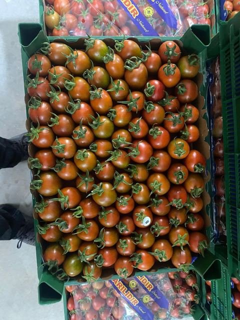 RAHA Freshline saha fotoğrafı — üretim, paketleme ve sevkiyat