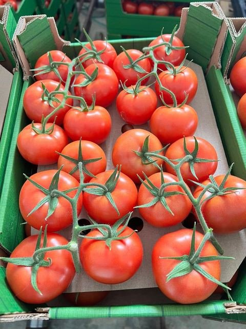 RAHA Freshline saha fotoğrafı — üretim, paketleme ve sevkiyat