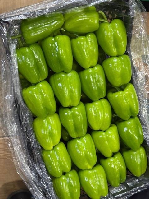 RAHA Freshline saha fotoğrafı — üretim, paketleme ve sevkiyat