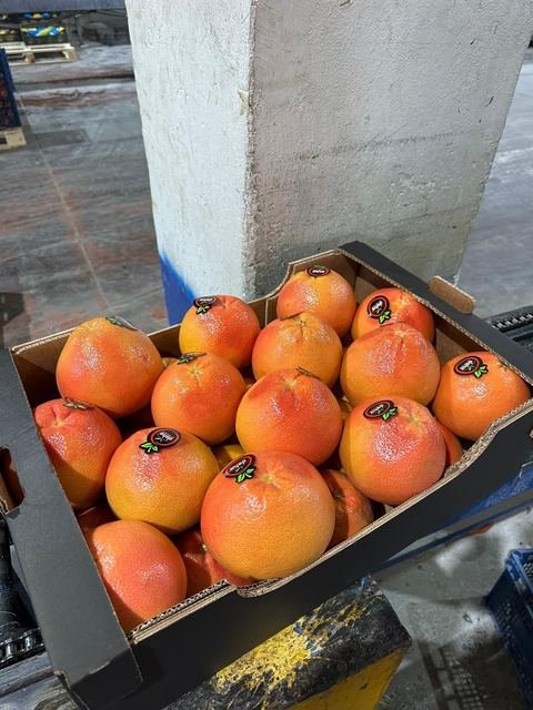 RAHA Freshline saha fotoğrafı — üretim, paketleme ve sevkiyat