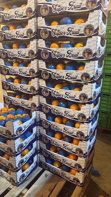 RAHA Freshline saha fotoğrafı — üretim, paketleme ve sevkiyat
